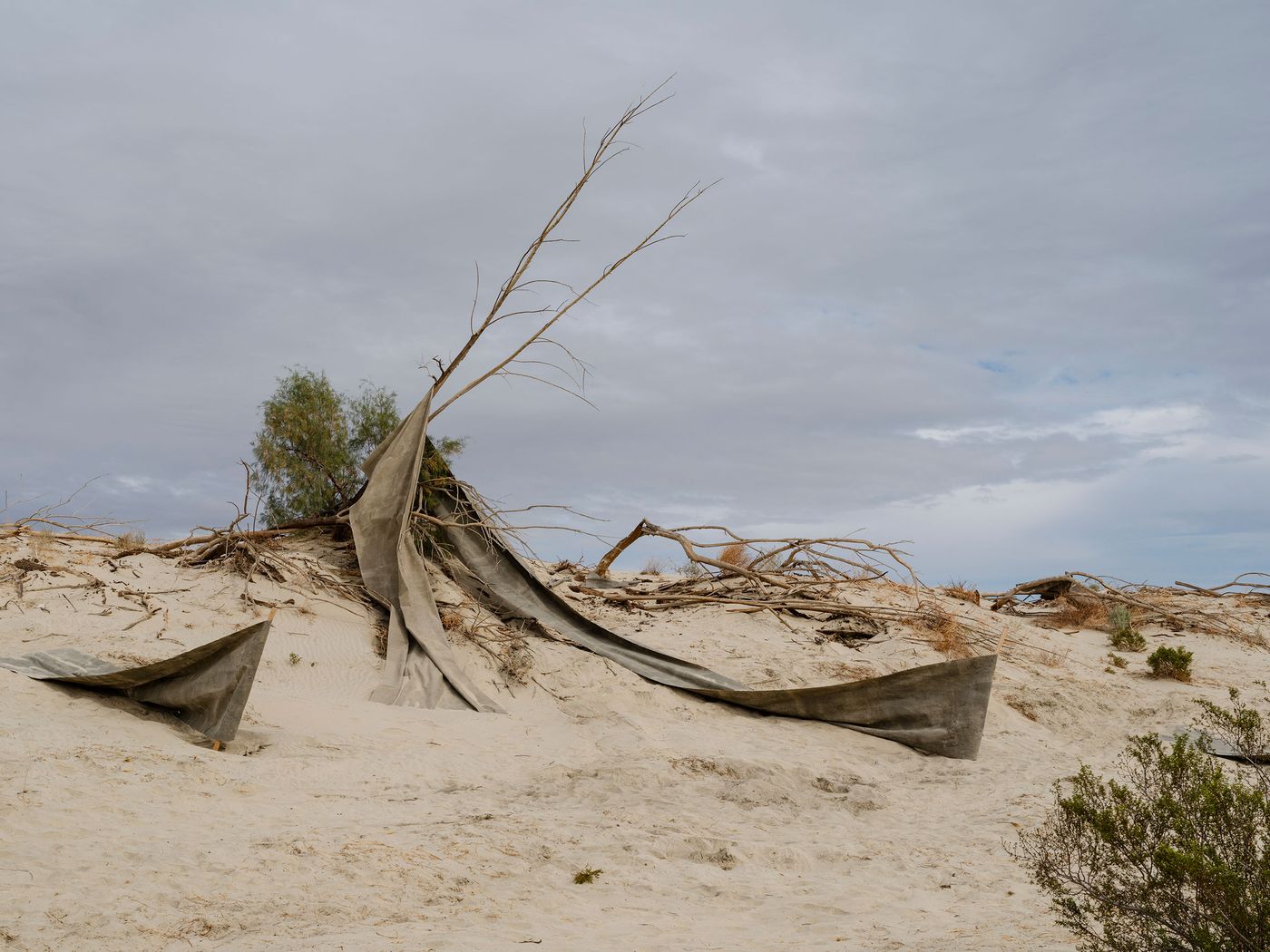 A windswept landscape of dry sand, featuring twisted branches and tattered fabric partially buried, under a cloudy sky.