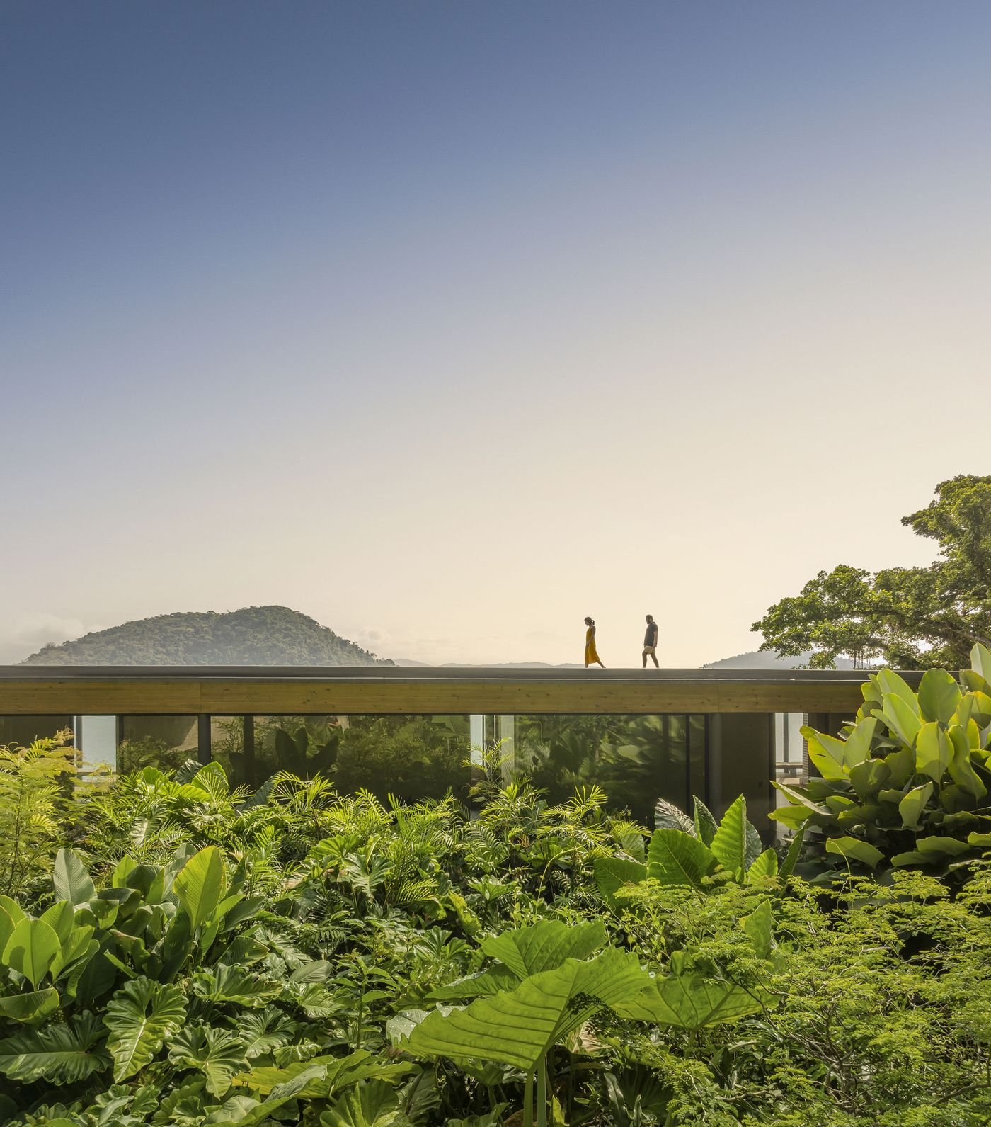 Two figures stand silhouetted against a hazy horizon on the flat, linear roofline of a modern residence. Below, a vibrant foreground of large, lush tropical leaves creates a biophilic embrace, emphasizing the interplay between the geometric simplicity of the structure and the organic city vista beyond. Two figures stand silhouetted against a hazy horizon on the flat, linear roofline of a modern residence. Below, a vibrant foreground of large, lush tropical leaves creates a biophilic embrace, emphasizing the interplay between the geometric simplicity of the structure and the organic city vista beyond.