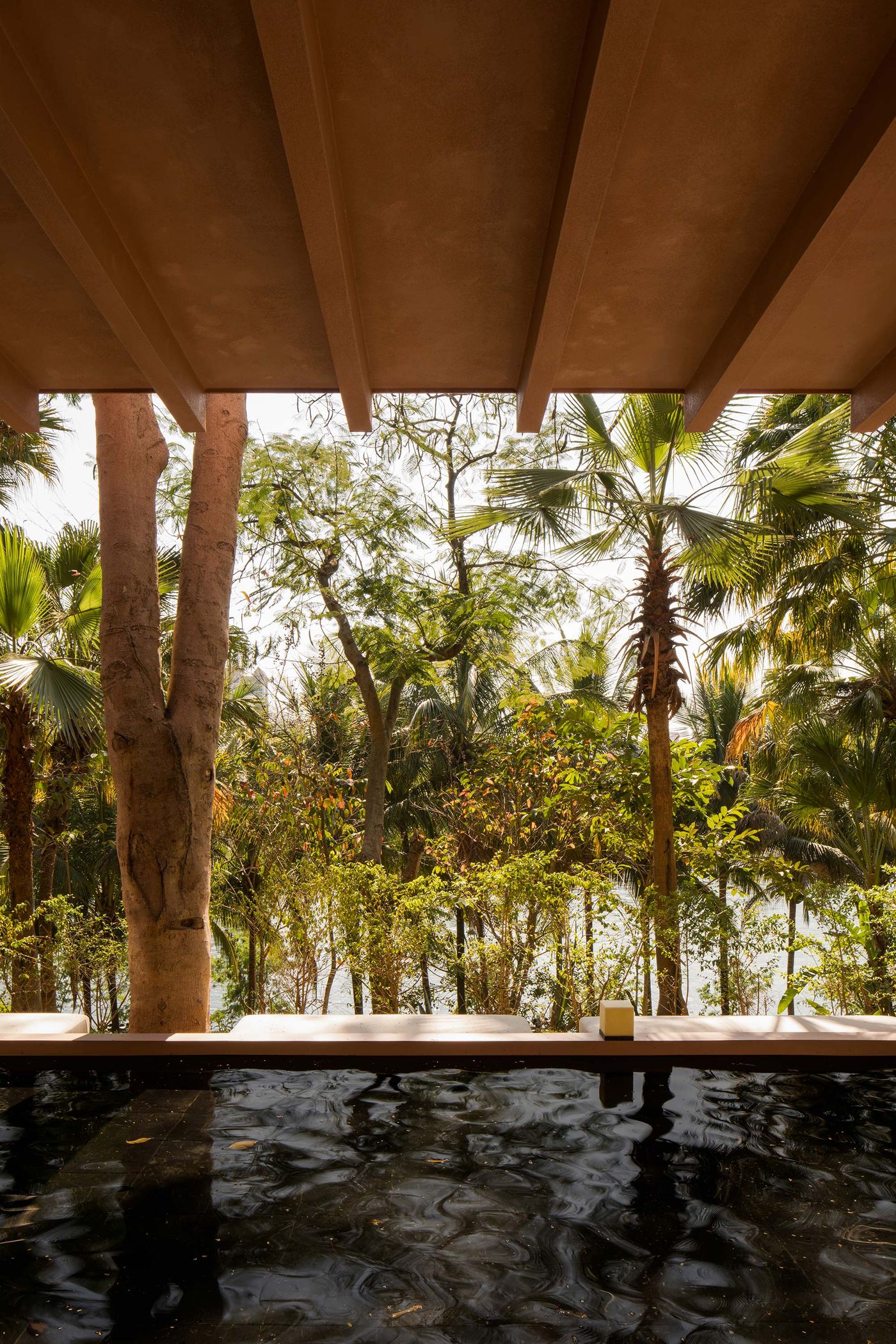 A serene view from beneath a rustic ceiling, showcasing lush green trees and a tranquil pool reflecting the surrounding nature. A serene view from beneath a rustic ceiling, showcasing lush green trees and a tranquil pool reflecting the surrounding nature.