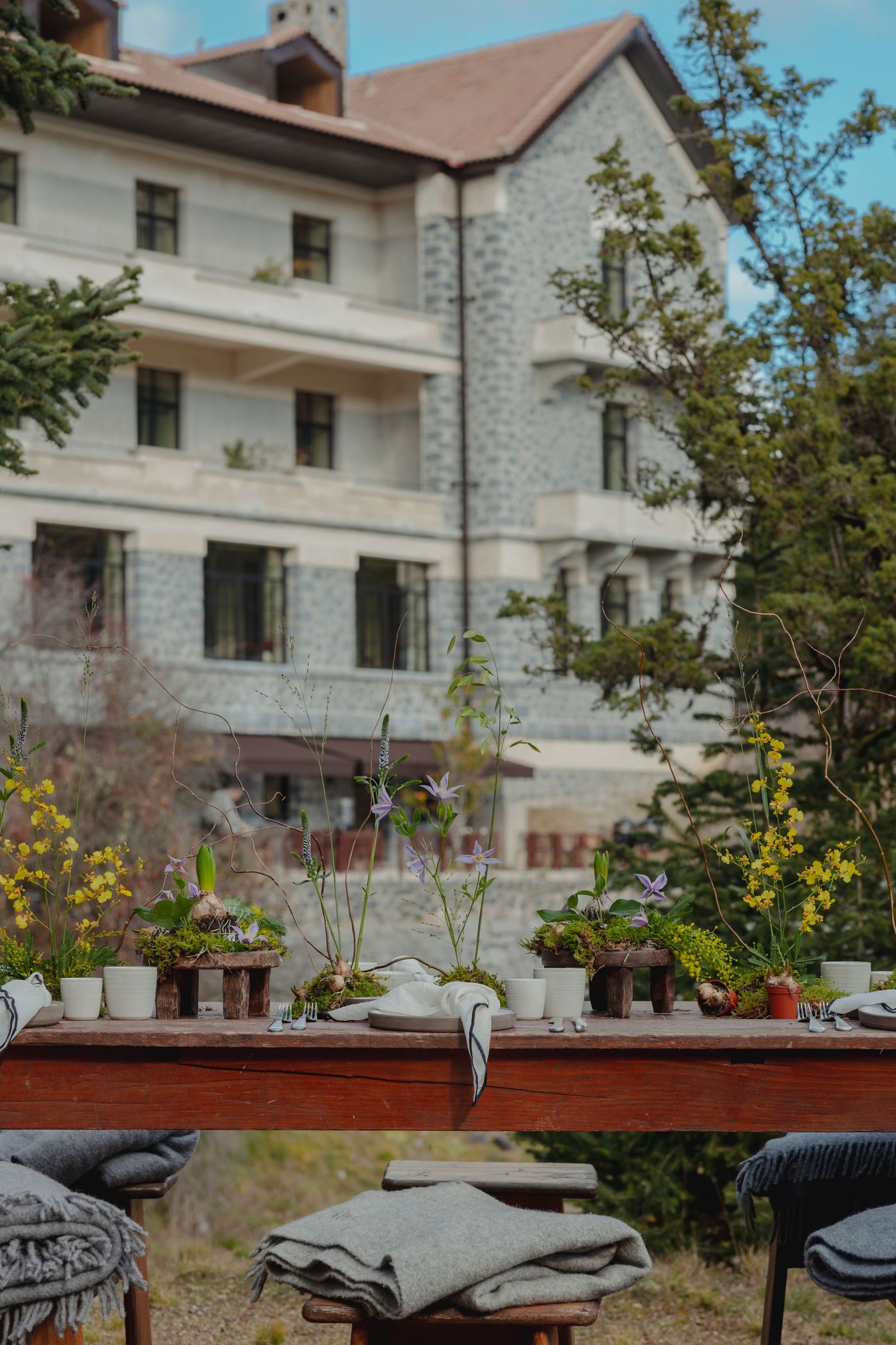 An outdoor dining table, crafted from rustic dark wood, is set with white dishes and grey linen napkins. The table is adorned with biophilic centerpieces featuring small wooden bases, vibrant yellow, and delicate purple wildflowers, reflecting a natural and authentic design. In the background, the neoclassical stone facade of a hotel rises amidst the surrounding pine forest. Grey wool blankets are draped over wooden stools, inviting guests to relax in the cool mountain air. This setting embodies a sophisticated rustic elegance, celebrating connection with nature. An outdoor dining table, crafted from rustic dark wood, is set with white dishes and grey linen napkins. The table is adorned with biophilic centerpieces featuring small wooden bases, vibrant yellow, and delicate purple wildflowers, reflecting a natural and authentic design. In the background, the neoclassical stone facade of a hotel rises amidst the surrounding pine forest. Grey wool blankets are draped over wooden stools, inviting guests to relax in the cool mountain air. This setting embodies a sophisticated rustic elegance, celebrating connection with nature.