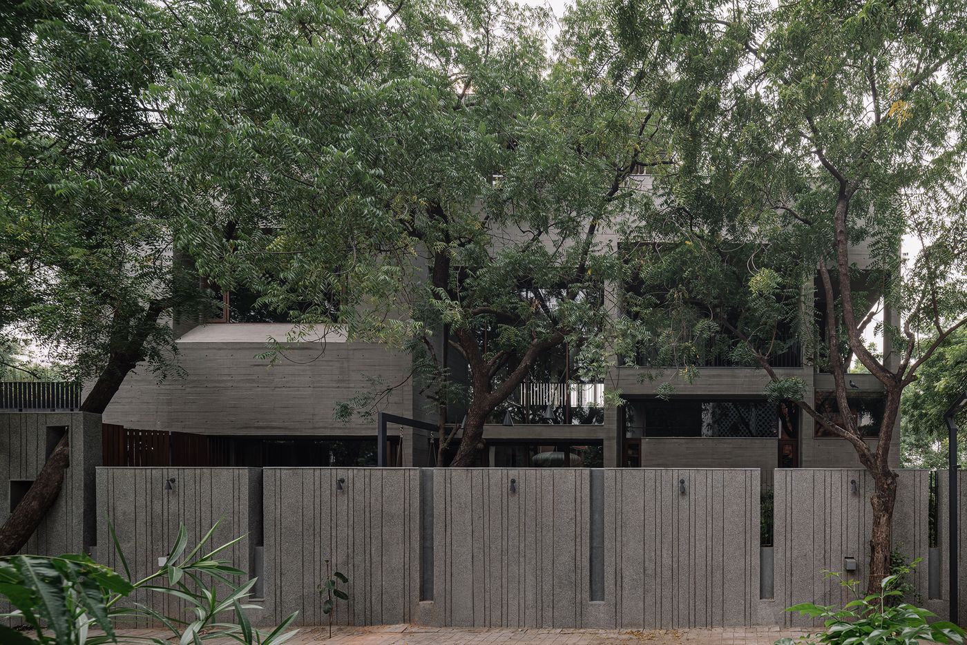 The MS House is largely concealed by an abundant canopy of mature trees, blending its multi-level concrete architecture with the natural landscape. The brutalist facade features distinct horizontal and vertical lines, while a textured concrete fence with dark metal accents separates the property, hinting at the sophisticated design within this biophilic sanctuary.