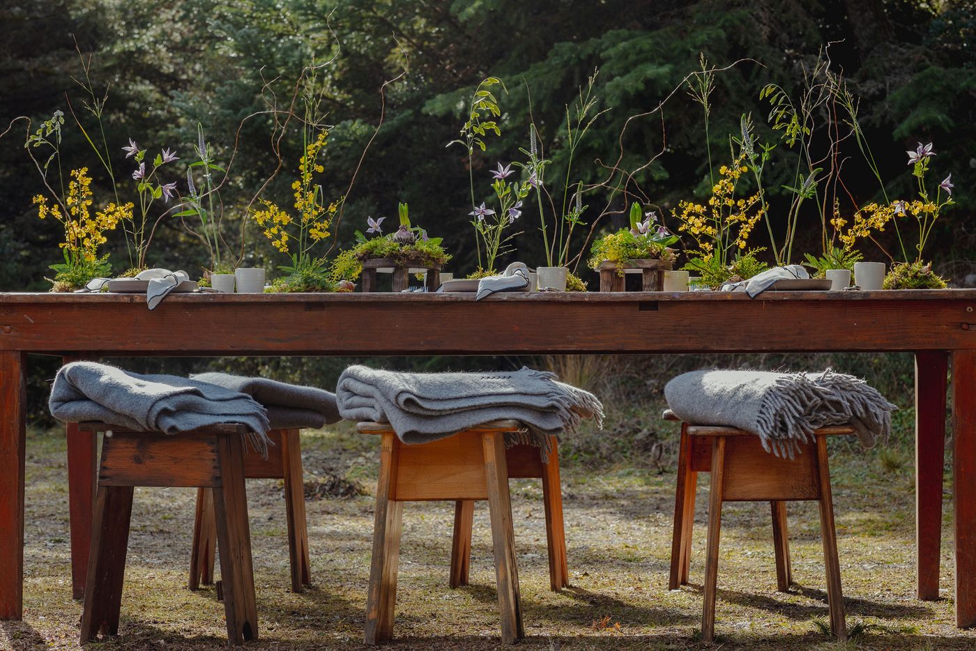 An expansive outdoor wooden dining table, supporting a series of naturalistic floral arrangements with yellow and lavender wildflowers, extends across a grassy area. Below the table, several simple wooden stools are topped with inviting grey wool blankets, emphasizing a casual yet refined outdoor dining experience. The background features a dense, dark green forest, reinforcing the biophilic design and serene, natural atmosphere of the setting. An expansive outdoor wooden dining table, supporting a series of naturalistic floral arrangements with yellow and lavender wildflowers, extends across a grassy area. Below the table, several simple wooden stools are topped with inviting grey wool blankets, emphasizing a casual yet refined outdoor dining experience. The background features a dense, dark green forest, reinforcing the biophilic design and serene, natural atmosphere of the setting.