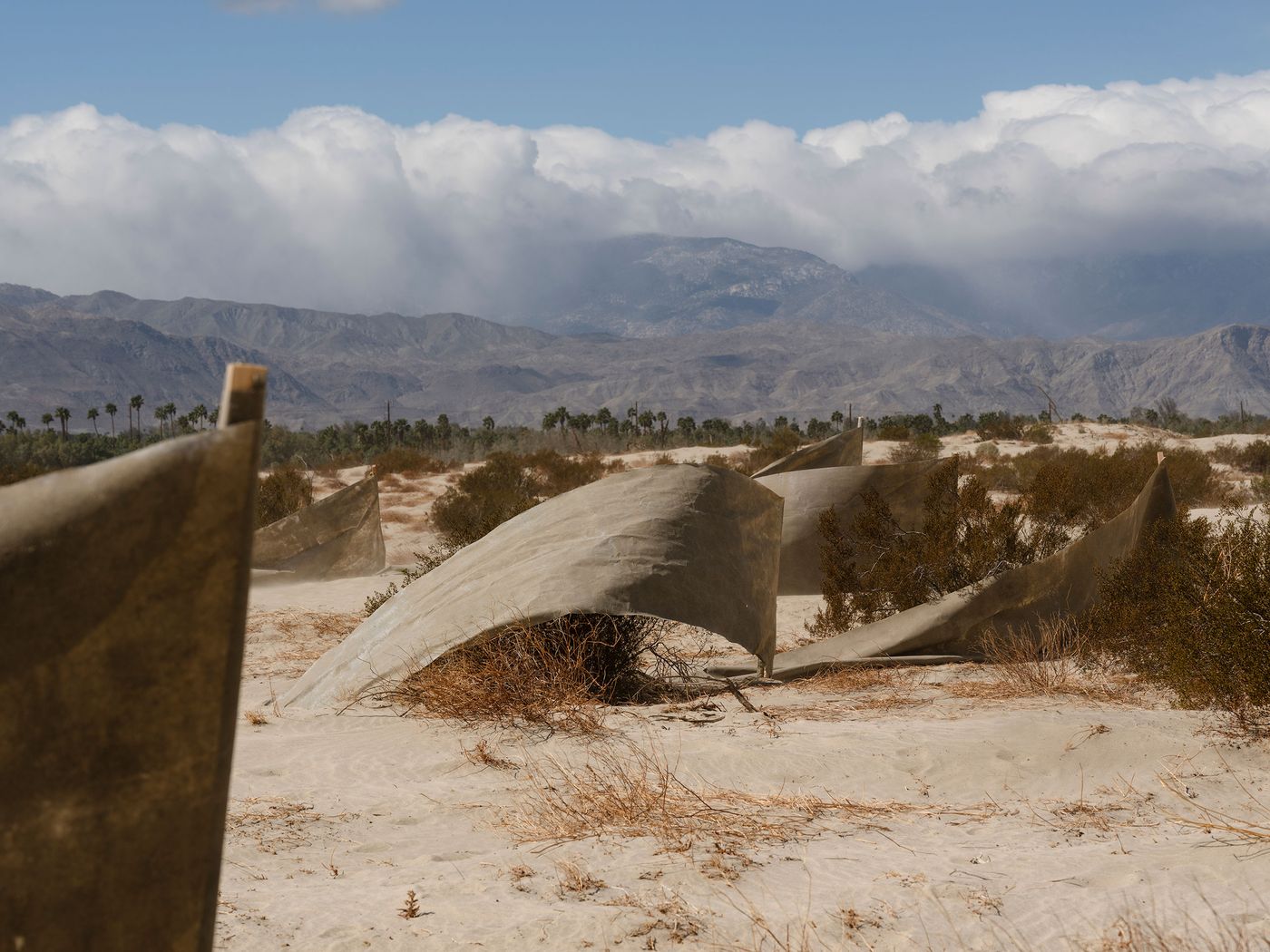 Curved, weathered fabric structures jut from a sandy landscape, framed by distant mountains and scattered desert vegetation under a cloudy sky. Curved, weathered fabric structures jut from a sandy landscape, framed by distant mountains and scattered desert vegetation under a cloudy sky.