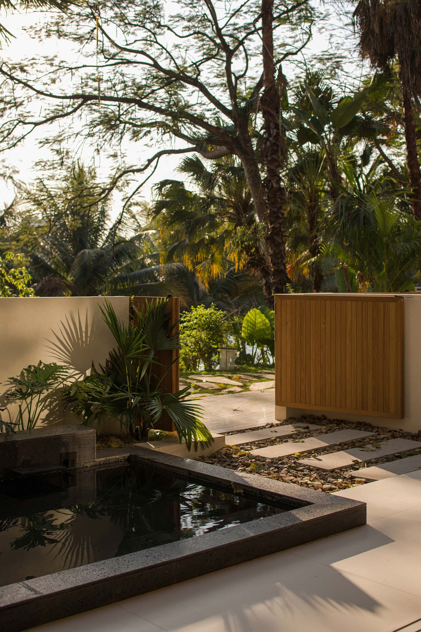 Serene garden view featuring a dark water feature surrounded by tropical plants and natural stone pathways in golden sunlight.