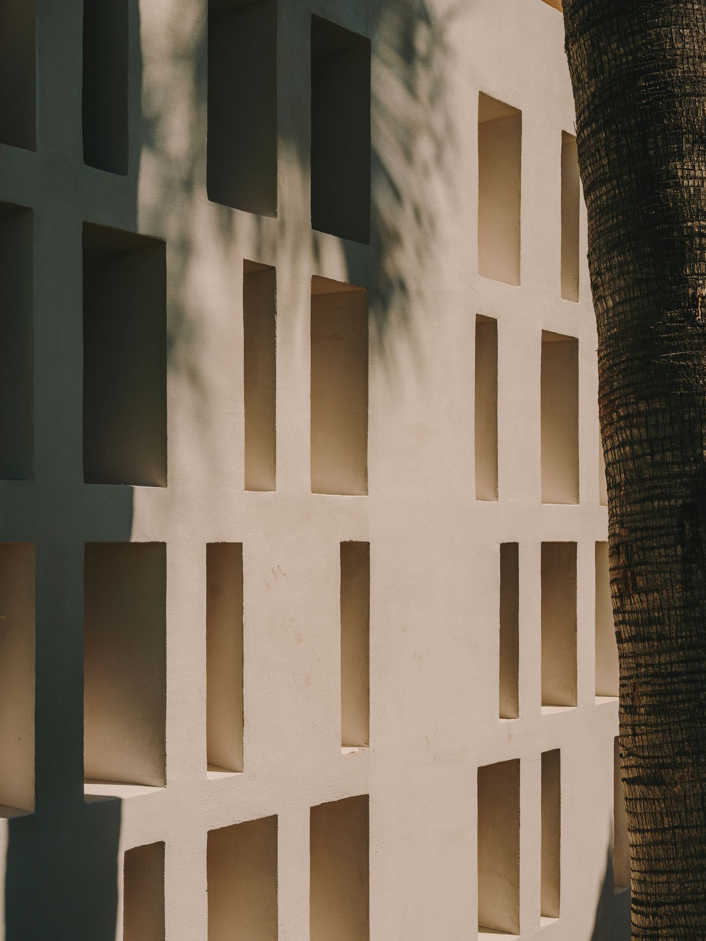 A textured white wall features multiple rectangular cutouts, accented by shadows and a visible palm tree trunk on the right.