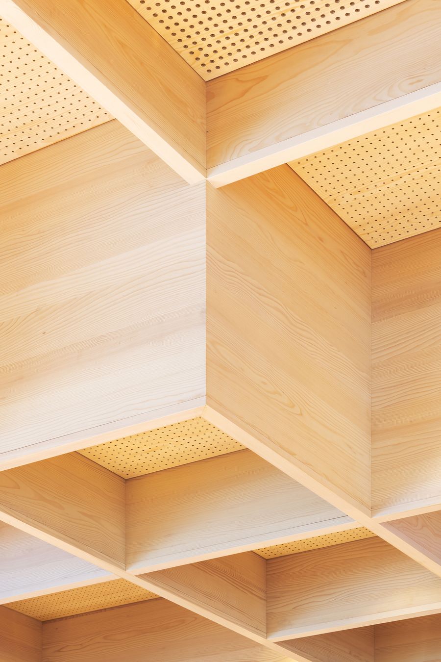 A dramatic coffered ceiling creates geometric depth through alternating light and shadow, with perforated wood panels adding textural interest. The modular ceiling system demonstrates how repetitive elements can generate visual complexity while maintaining clean architectural lines characteristic of contemporary Scandinavian design. A dramatic coffered ceiling creates geometric depth through alternating light and shadow, with perforated wood panels adding textural interest. The modular ceiling system demonstrates how repetitive elements can generate visual complexity while maintaining clean architectural lines characteristic of contemporary Scandinavian design.