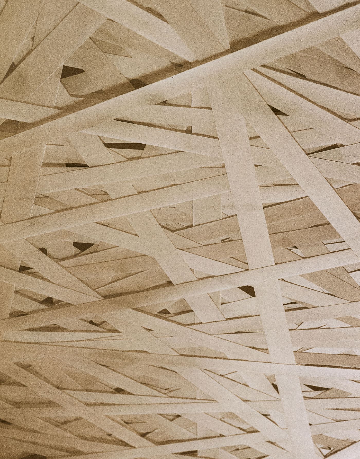 A close-up view of the unique, intricate ceiling installation, composed of numerous interwoven strips of light-toned material creating a mesmerizing, basket-like texture. This abstract design element adds a contemporary, artistic dimension to the classic architectural features of the space.