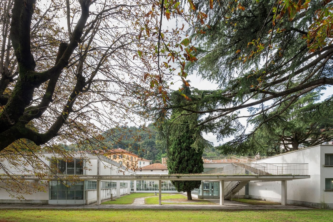 This exterior shot showcases a modernist building complex with a sprawling, lush lawn. The white, horizontal structures with large windows are connected by an elevated walkway with a minimal railing, leading to a staircase. The architecture is characterized by clean lines and an open, airy feel, while the surrounding mature trees with their seasonal foliage soften the angular forms. The design seamlessly integrates the building with the verdant landscape, a hallmark of biophilic design.