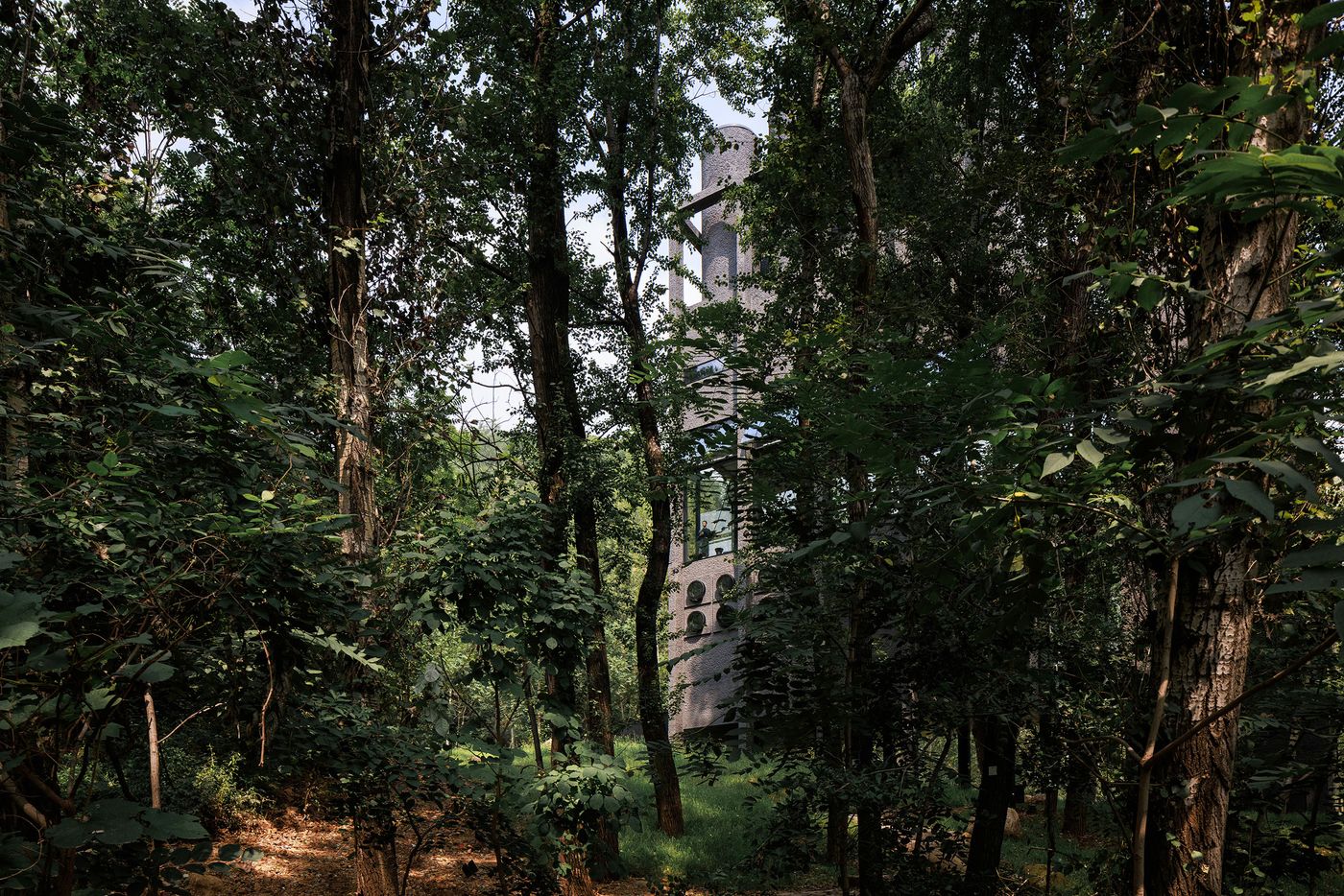 A modern concrete building partially obscured by lush green trees in a serene forest setting. A modern concrete building partially obscured by lush green trees in a serene forest setting.