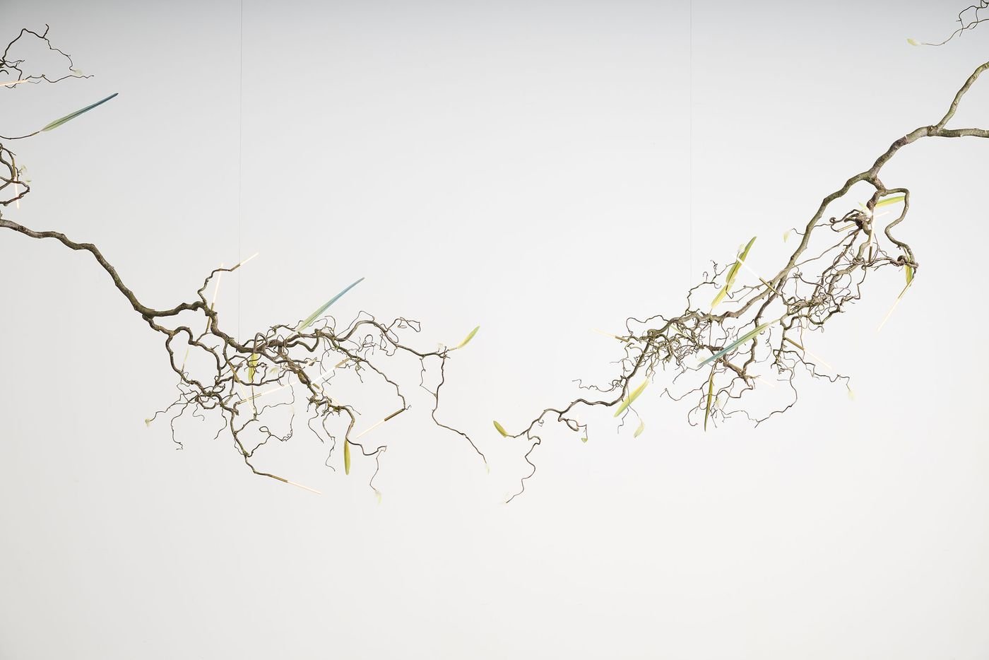 slender illuminated rods and soft-hued translucent elements resembling leaves. slender illuminated rods and soft-hued translucent elements resembling leaves.