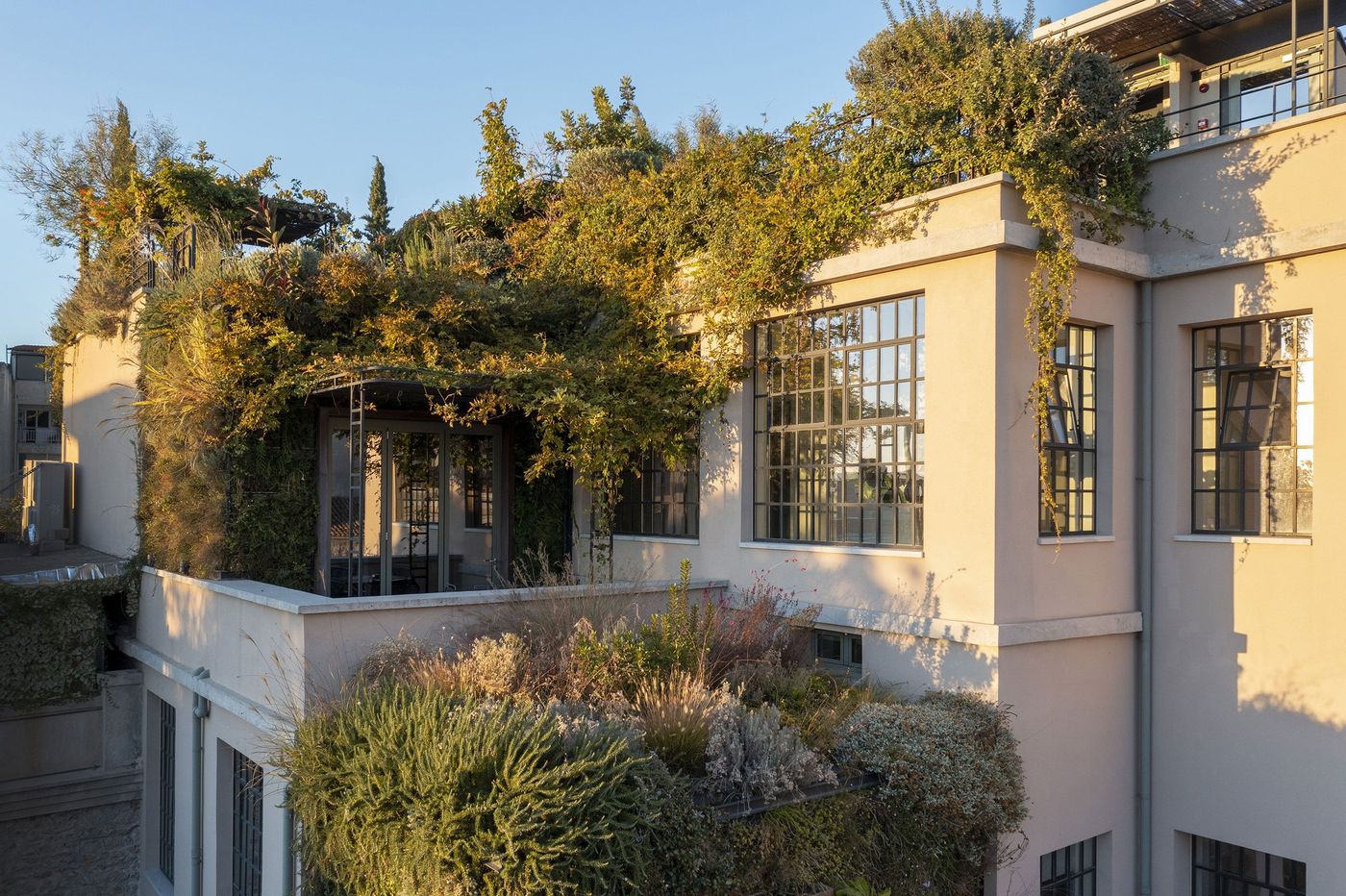 The exterior of The Foundry Suites in Athens features large industrial-style steel-framed windows and pale rendered walls enveloped by abundant greenery. Cascading vines, climbing plants and landscaped terraces soften the building's geometric architecture, while warm afternoon sunlight highlights the interplay between historic industrial character and its lush, contemporary rooftop garden.