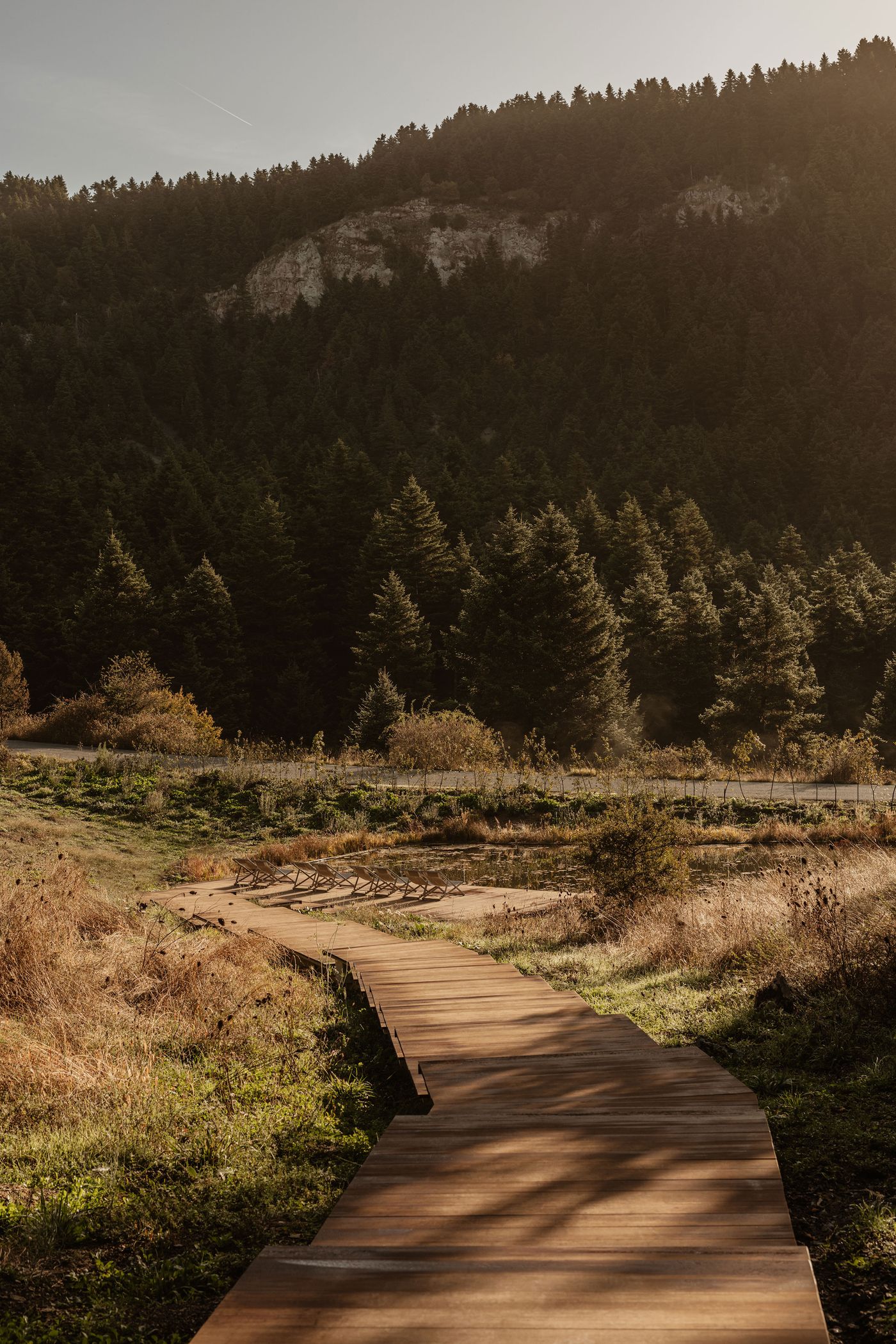 Meandering wooden pathway leading to a tranquil natural pond with lounge chairs, set against a backdrop of forested hills. Meandering wooden pathway leading to a tranquil natural pond with lounge chairs, set against a backdrop of forested hills.