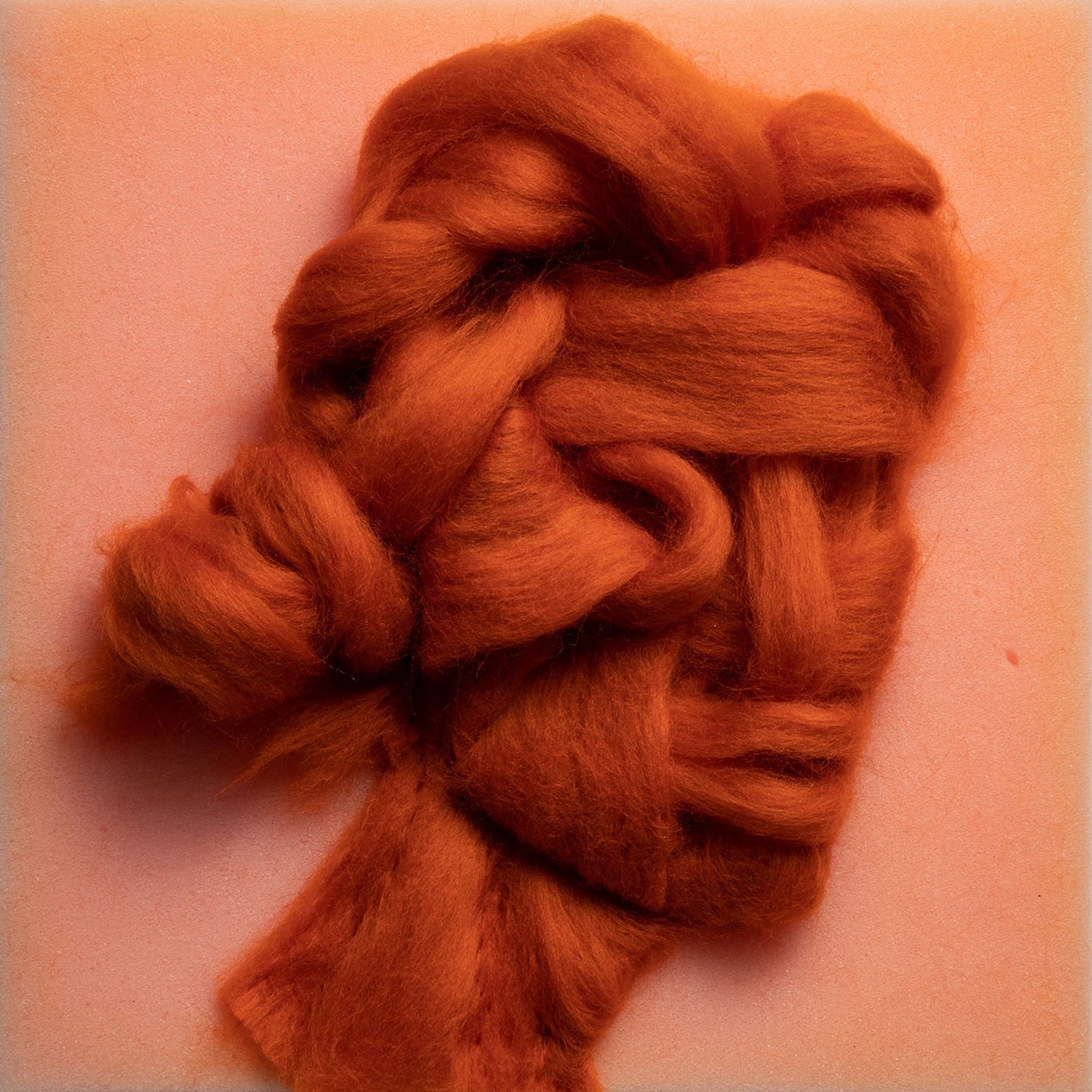 Salman Khoshroo, Wool on Foam Portraits Series, 2020.
Courtesy of the artist. Salman Khoshroo, Wool on Foam Portraits Series, 2020.
Courtesy of the artist.