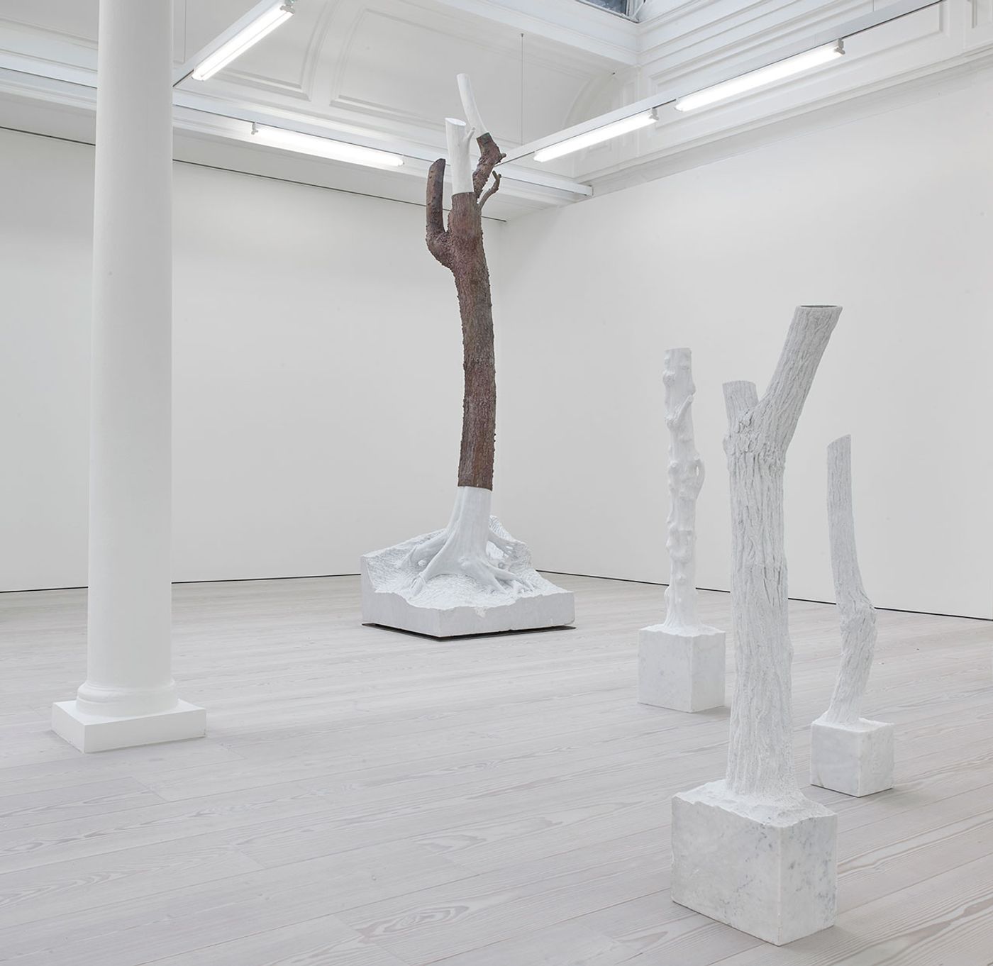 Giuseppe Penone, Fui, Saró, Non Sono (I was, I will be, I am not). Installation view from Marian Goodman Gallery London. Courtesy the artist and Marian Goodman Gallery.