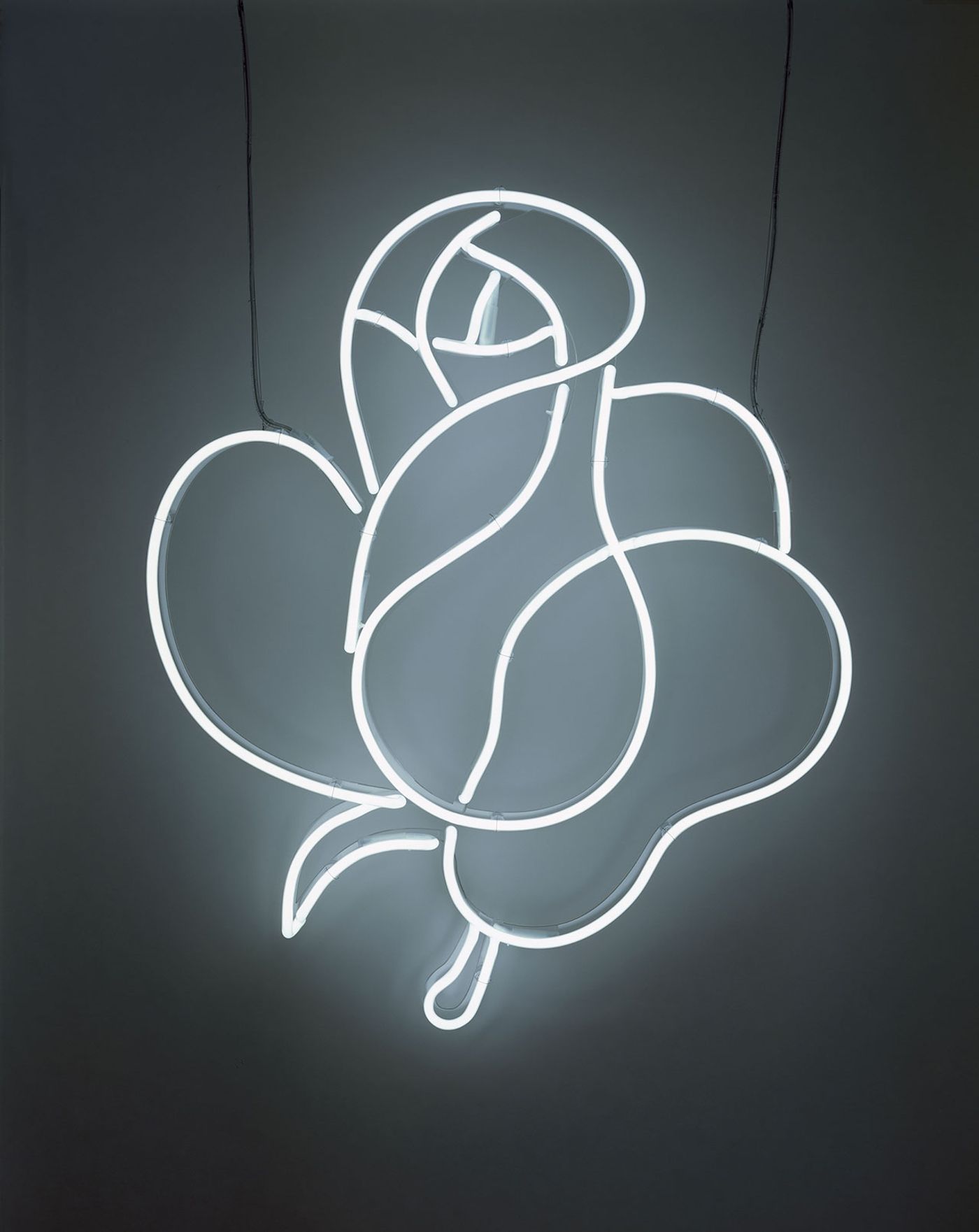 Cerith Wyn Evans, Untitled – Takashimaya Rose (White), 2007. © Cerith Wyn Evans. Courtesy White Cube. Photo: Todd-White Art Photography. Cerith Wyn Evans, Untitled – Takashimaya Rose (White), 2007. © Cerith Wyn Evans. Courtesy White Cube. Photo: Todd-White Art Photography.
