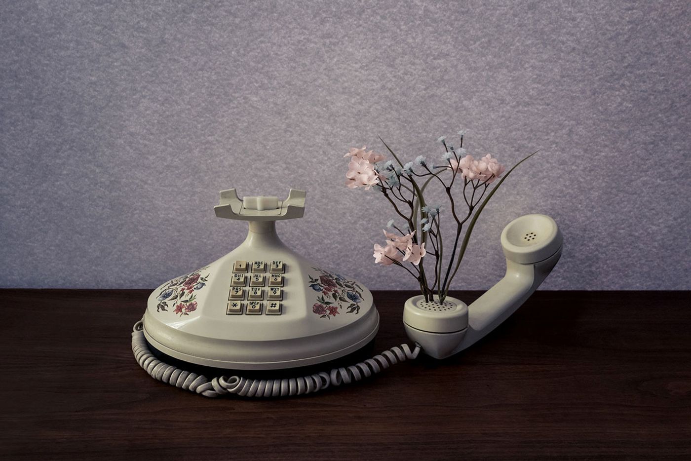 Photo © Brooke DiDonato. Photo © Brooke DiDonato.