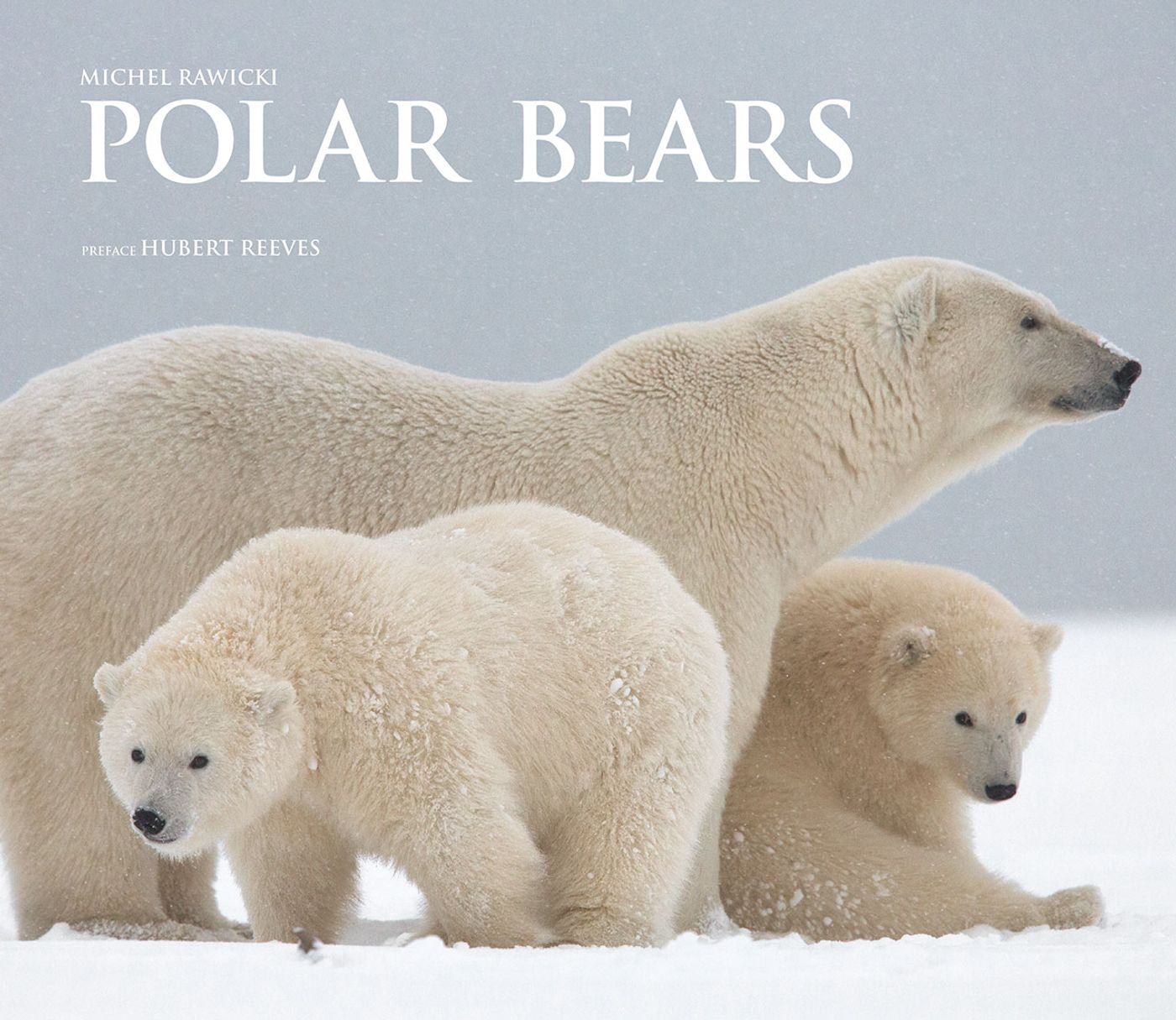 Michel Rawicki - Polar Bears, Book Cover. Kaktovik, Barter Island, Alaska, USA. Photo by Michel Rawicki © ACC Arts Books Ltd © Albin Michel. Michel Rawicki - Polar Bears, Book Cover. Kaktovik, Barter Island, Alaska, USA. Photo by Michel Rawicki © ACC Arts Books Ltd © Albin Michel.