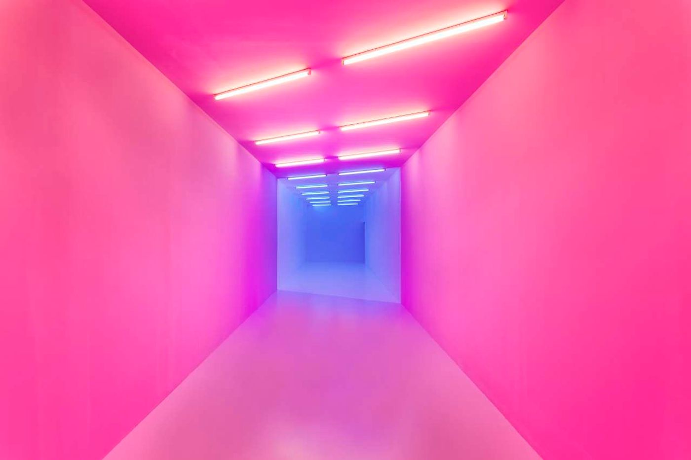 Kapwani Kiwanga, pink-blue, 2017. Courtesy of the artist and galerie Jérôme Poggi, Paris / Goodman gallery, Johannesburg and Cape Town / Tanja Wagner gallery, Berlin.
Kapwani Kiwanga, pink-blue, 2017. Courtesy of the artist and galerie Jérôme Poggi, Paris / Goodman gallery, Johannesburg and Cape Town / Tanja Wagner gallery, Berlin.