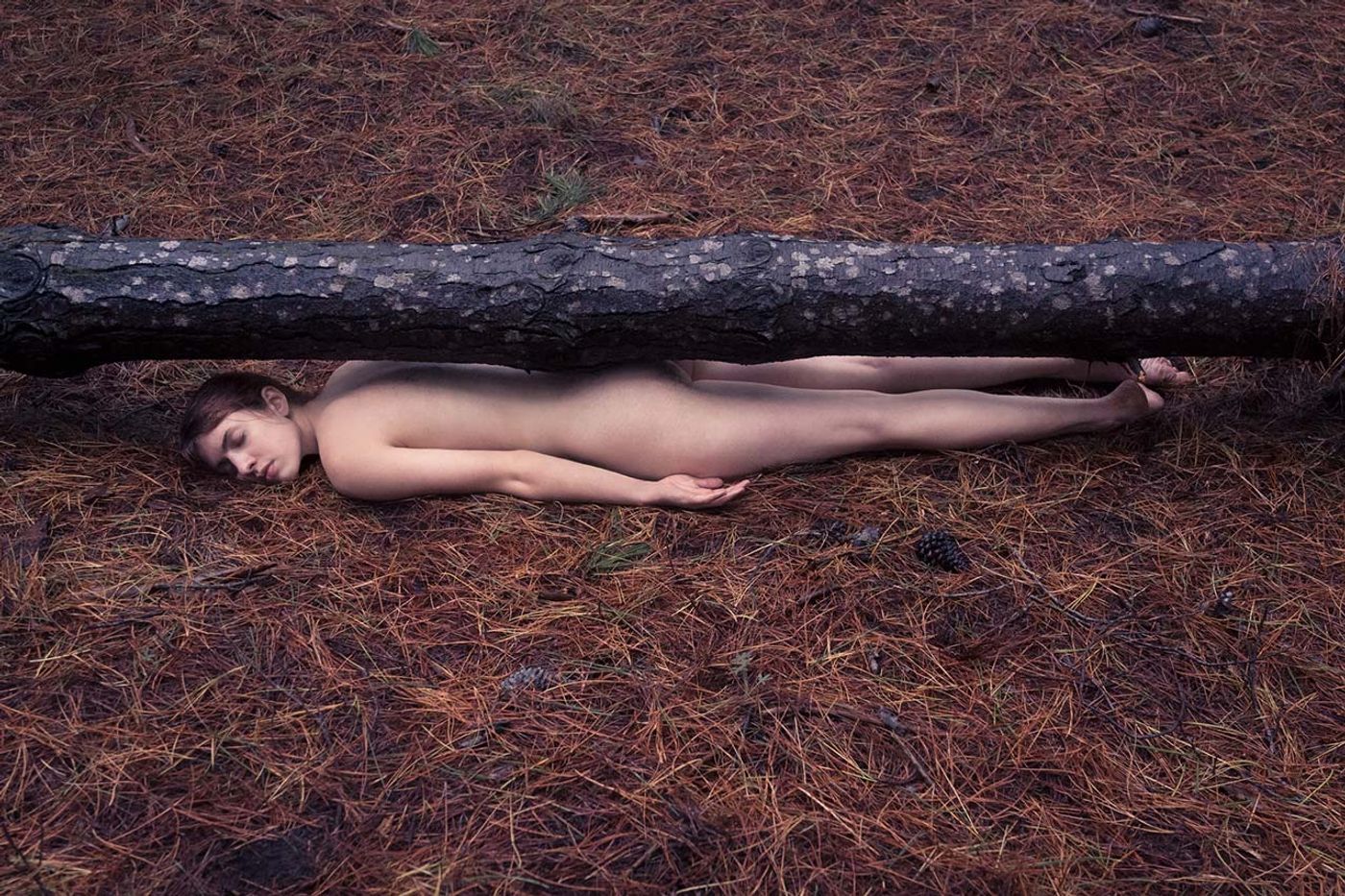 Photo © Brooke DiDonato. Photo © Brooke DiDonato.
