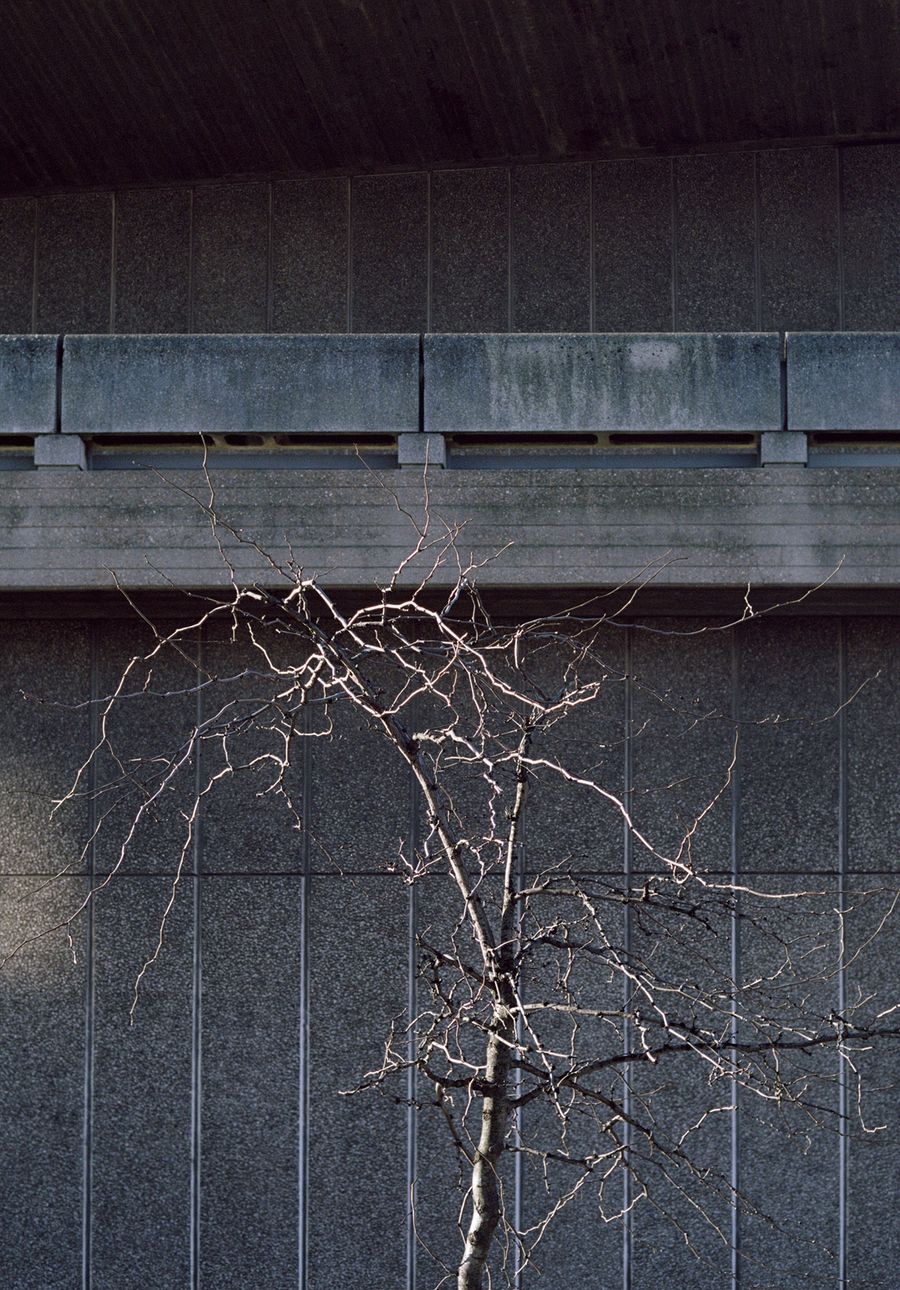 Photo © studio esinam and Rory Gardiner. Photo © studio esinam and Rory Gardiner.