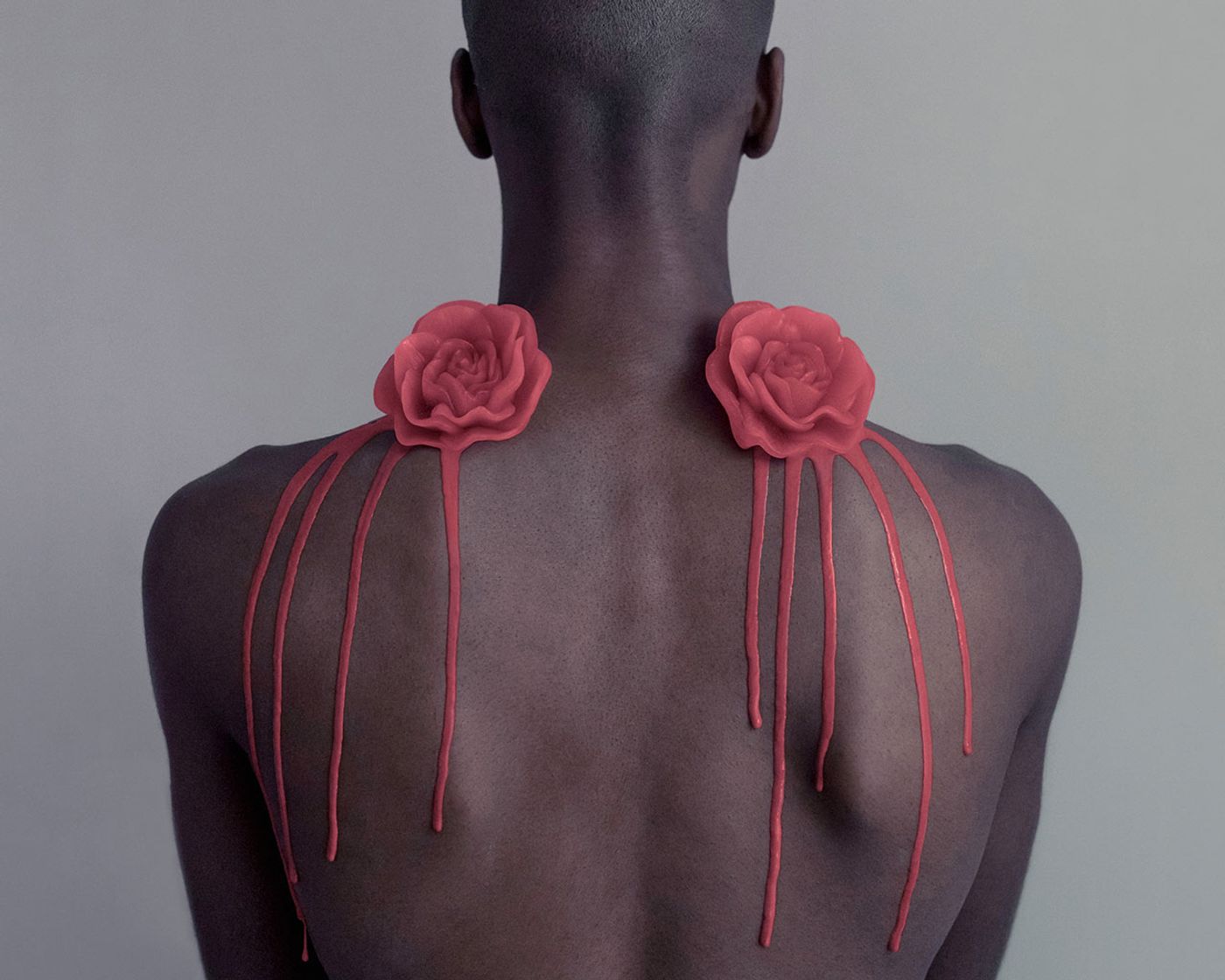 Photo © Brooke DiDonato. Photo © Brooke DiDonato.