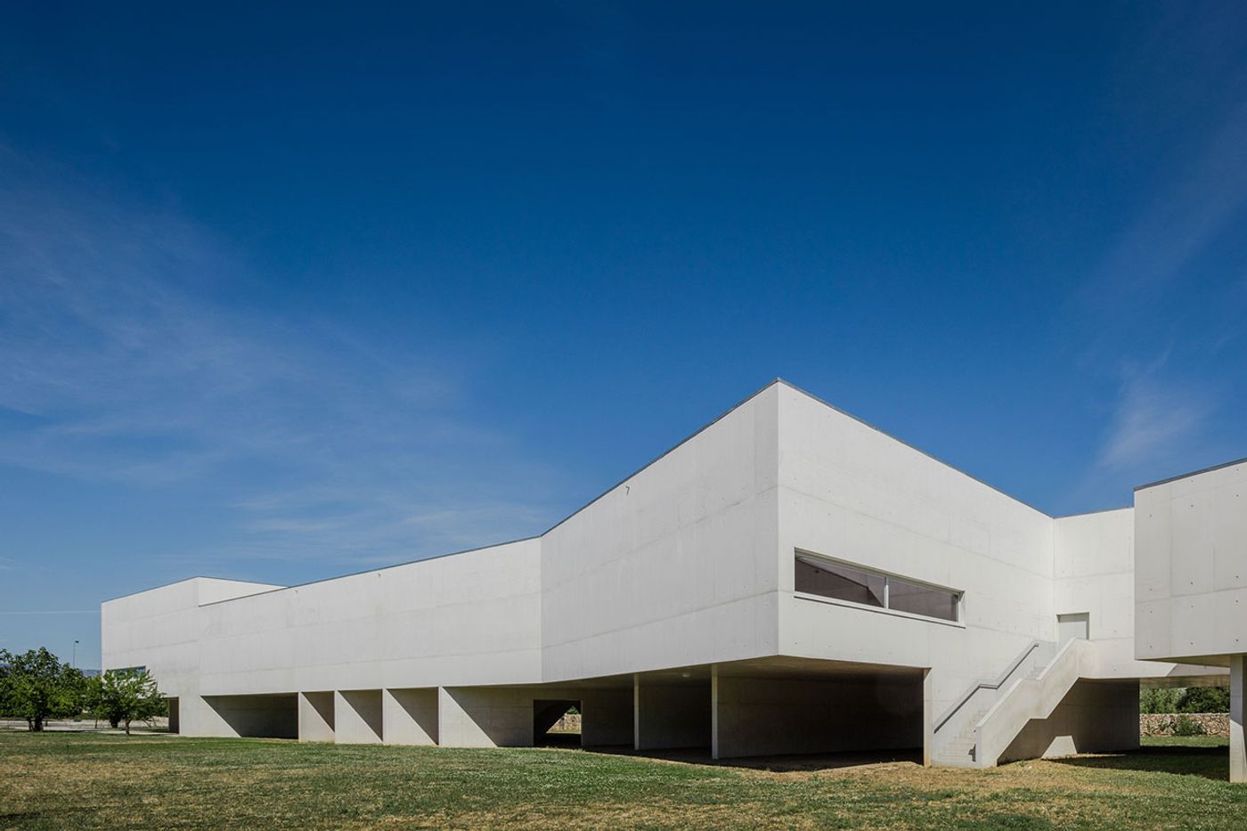 Photo by João Morgado.