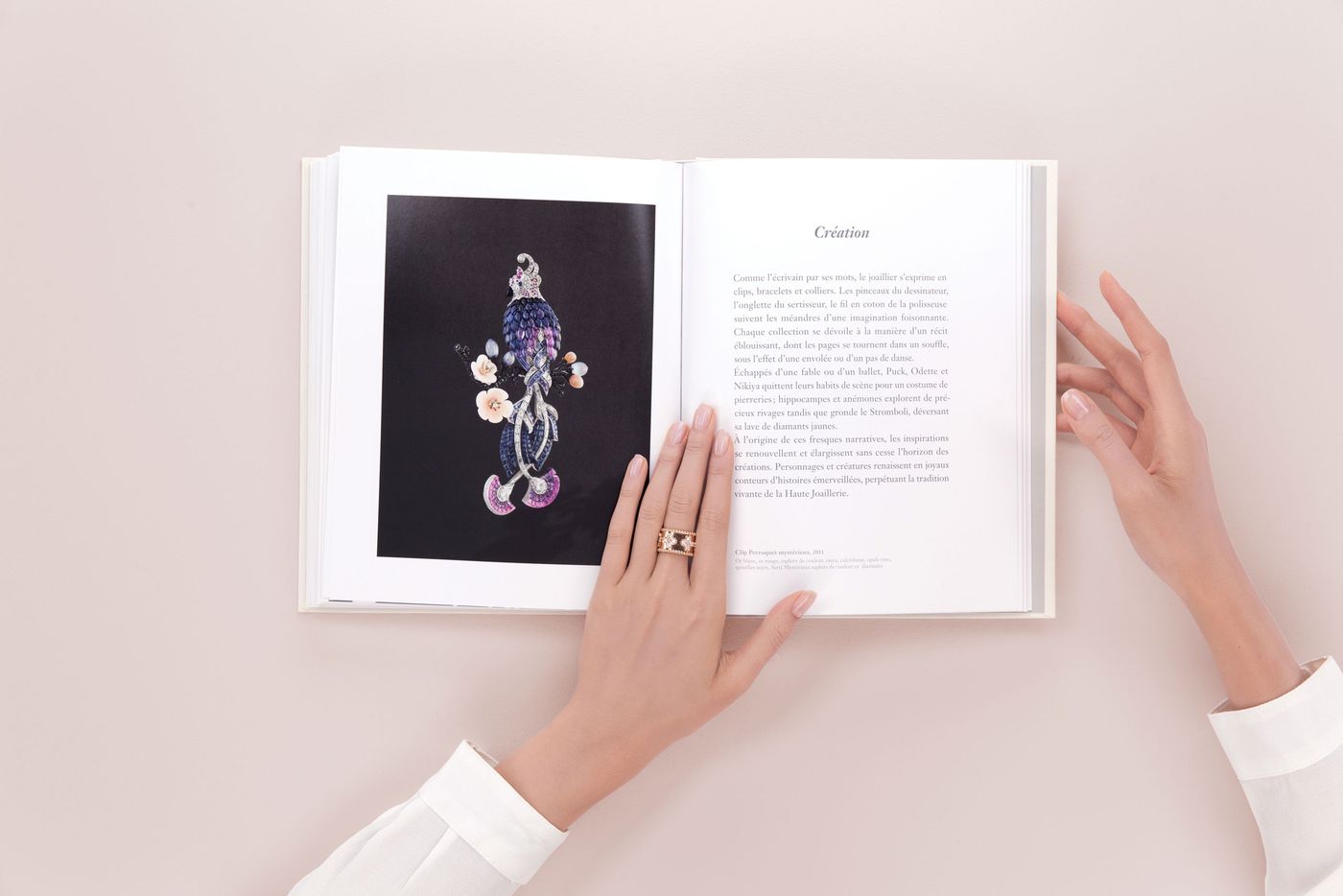 Van Cleef & Arpels Set in Style展 カタログ Set in Style: The Jewelry of Van Cleef & Arpels: Coffin