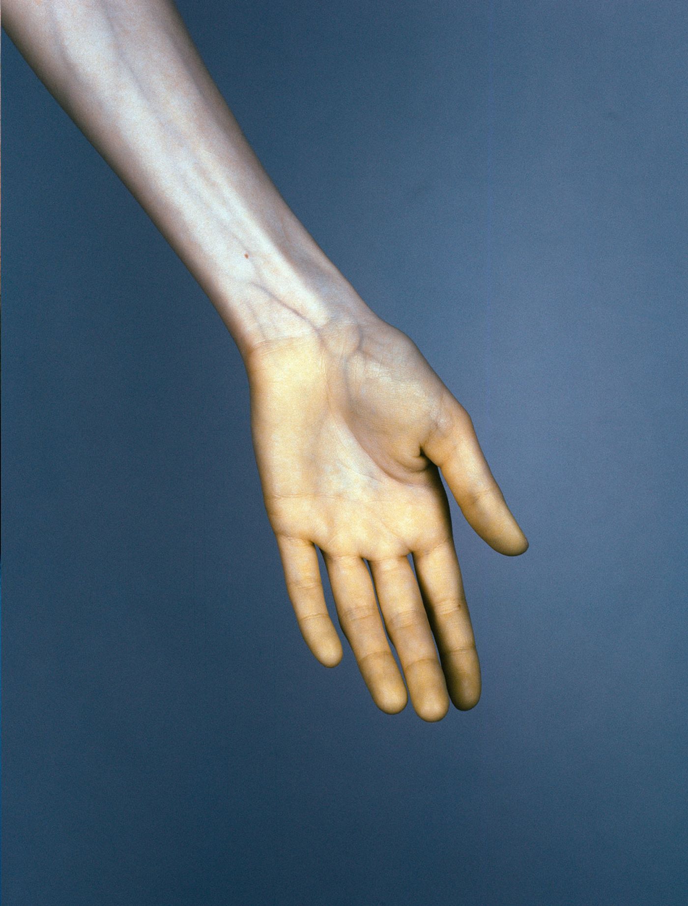 アート・デザイン・音楽 The Unseen: An Atlas of Infrared Plates The Unseen: An Atlas of Infrared Plates - Edward Thompson