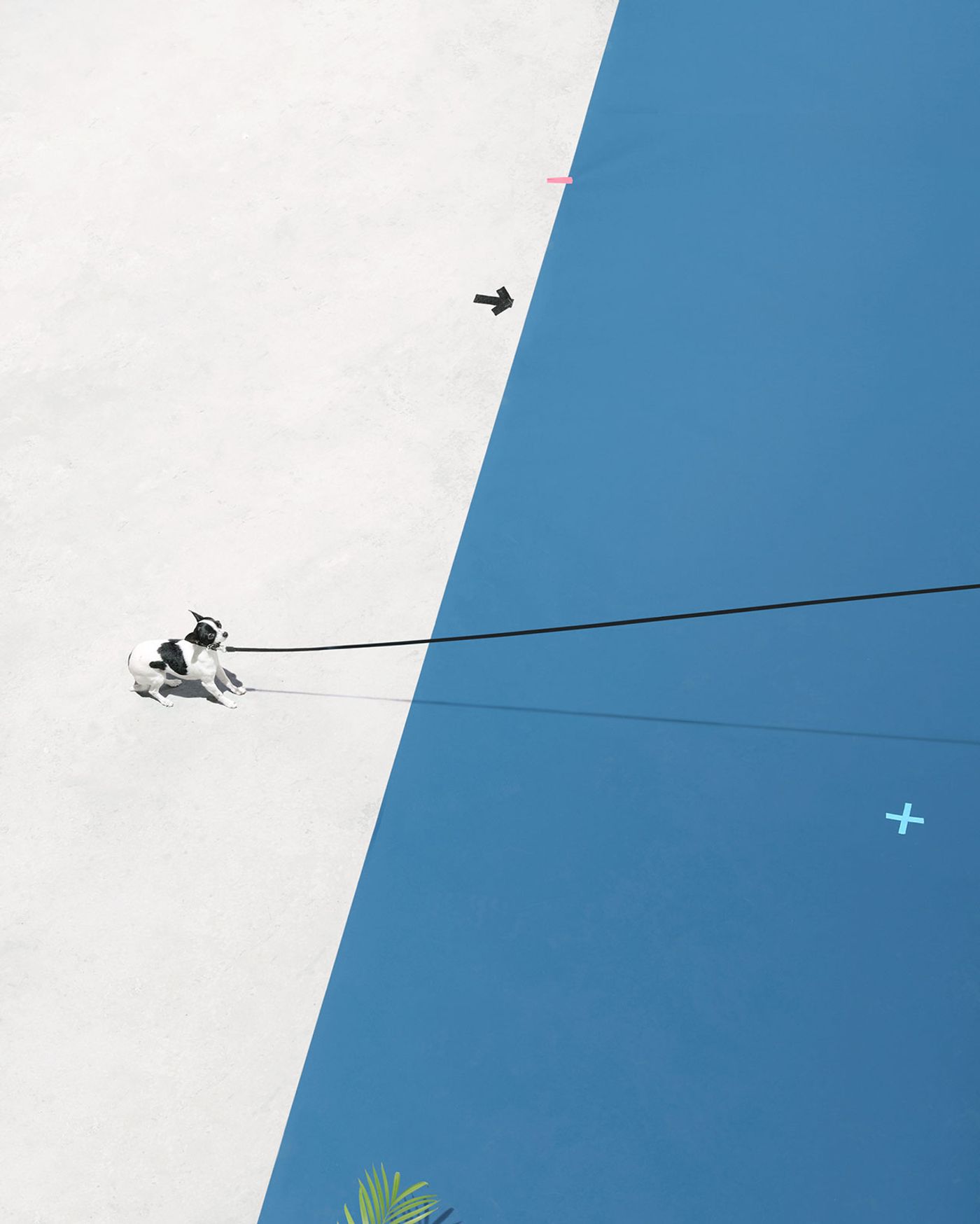 All in Order: Andrew B. Myers Talks to Yatzer