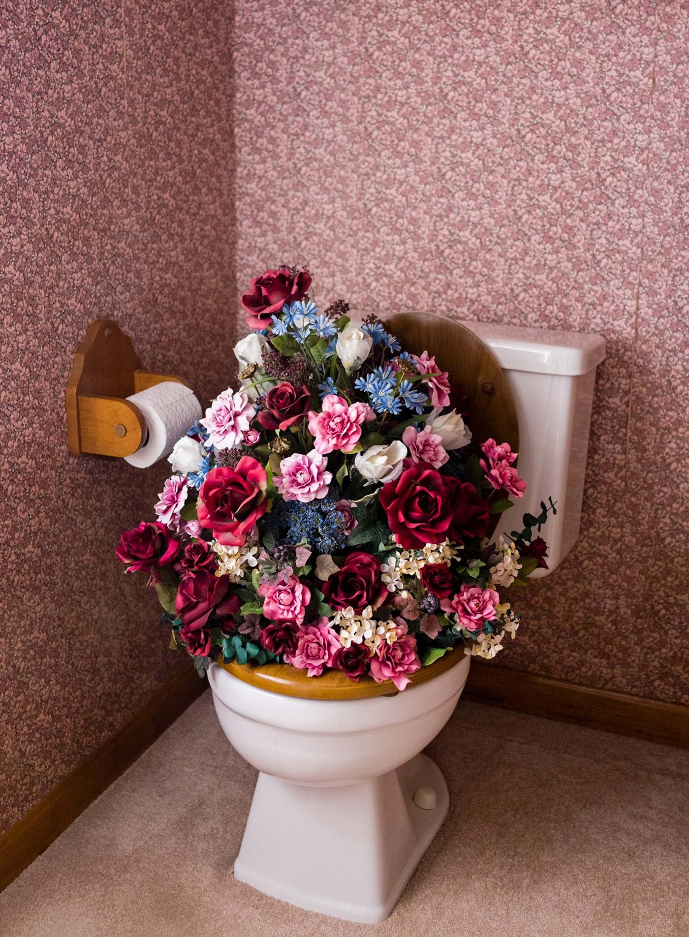 Photo © Brooke DiDonato. Photo © Brooke DiDonato.