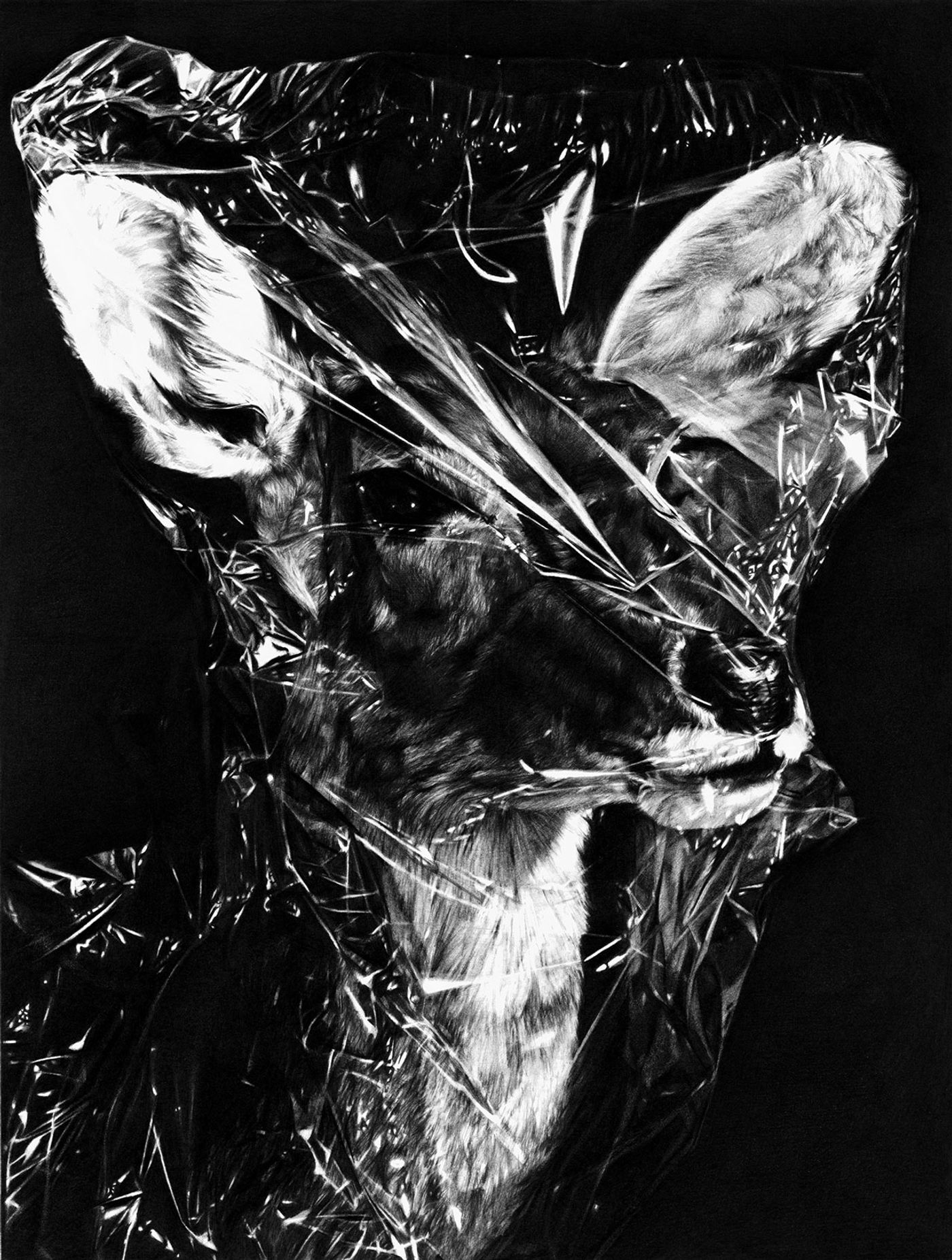 Maria Kriara, Untitled (detail), 2012, pencil on paper, 60x120cm.