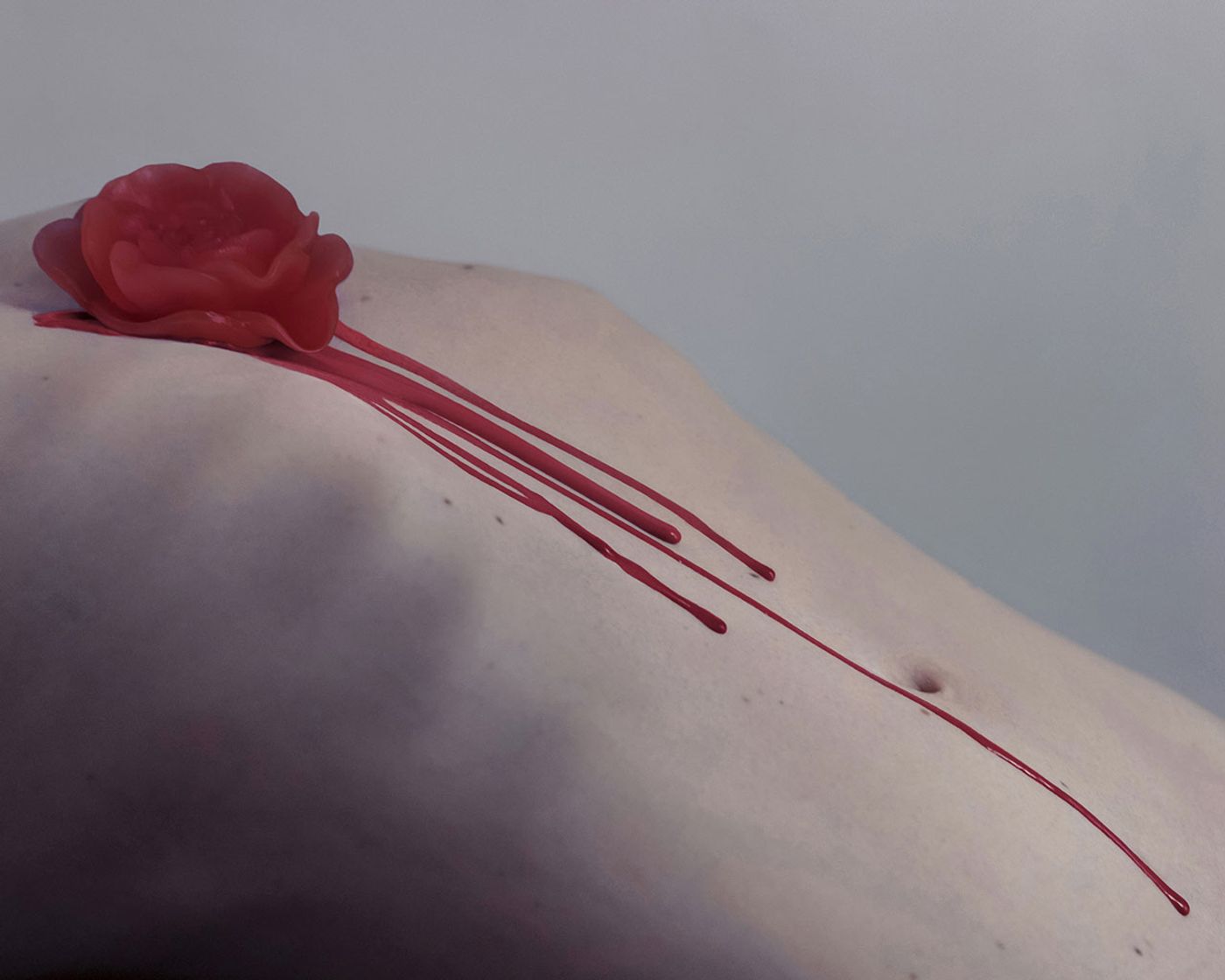 Photo © Brooke DiDonato. Photo © Brooke DiDonato.