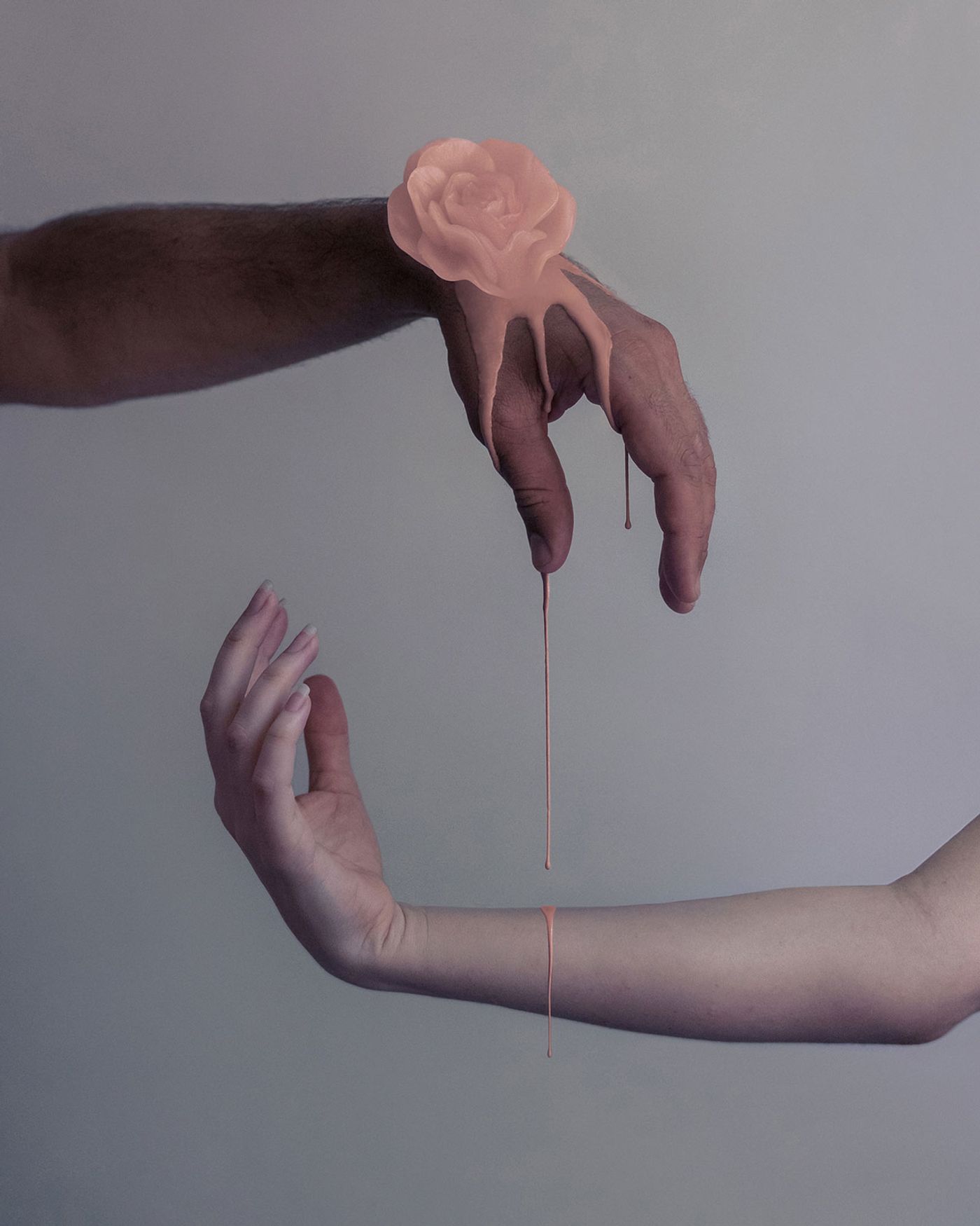Photo © Brooke DiDonato. Photo © Brooke DiDonato.