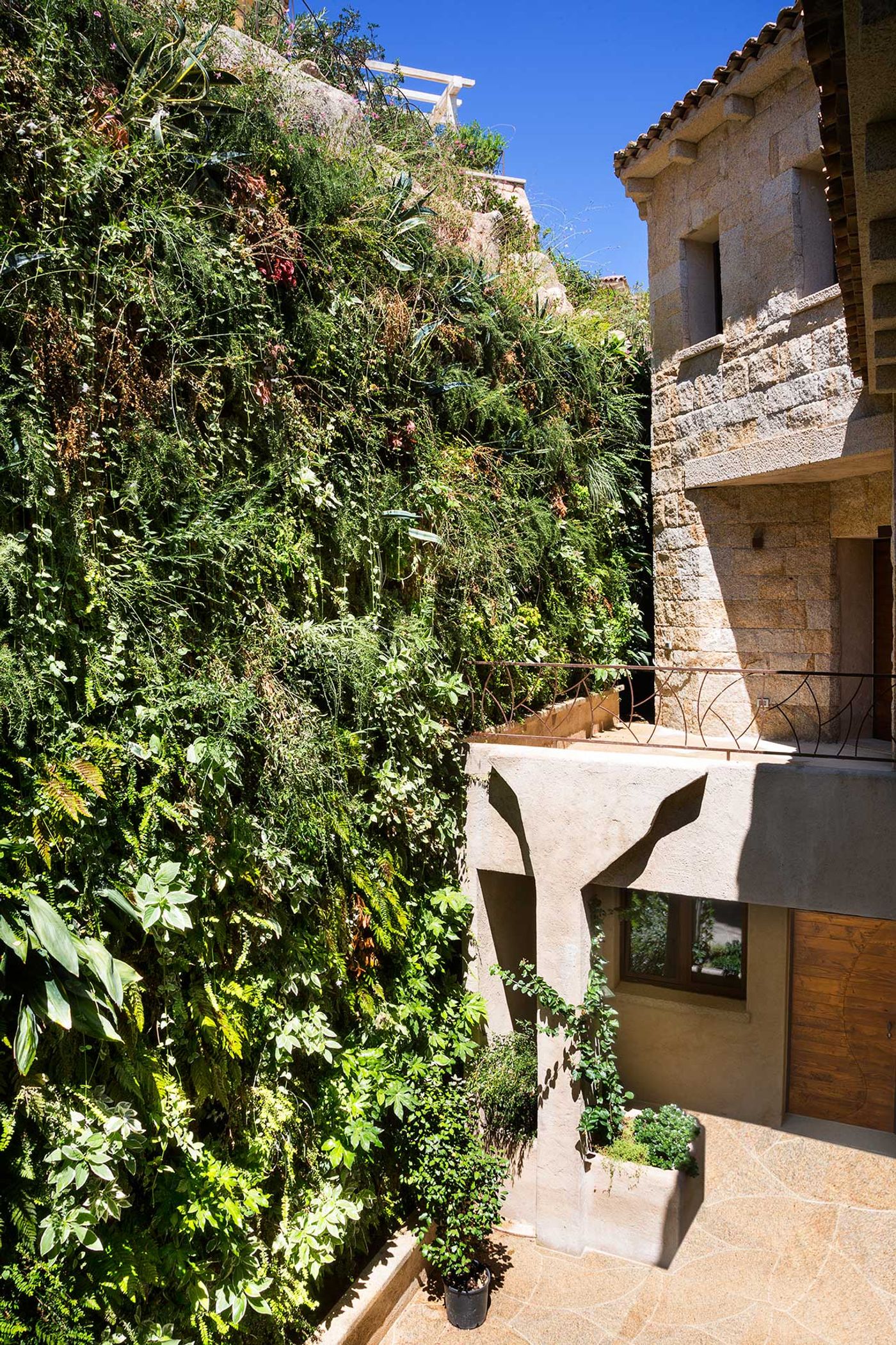 La Tiara di Cervo, Porto Cervo (OT). Architectural Project: Torno Team. Green Wall Project: Derek Castiglioni.
