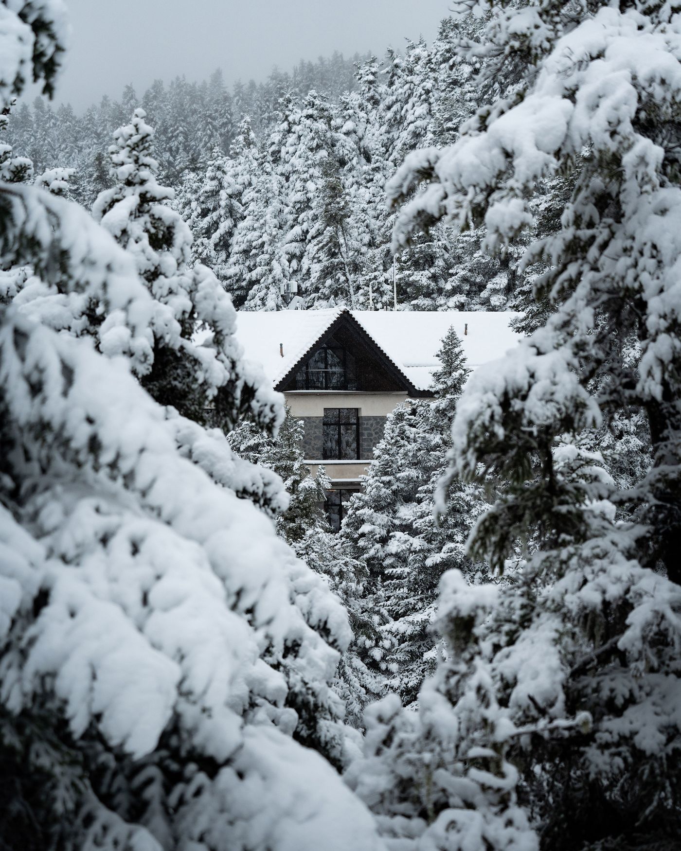 Gabled rooftop of Manna Hotel peeking through thick layers of snow and pine trees.